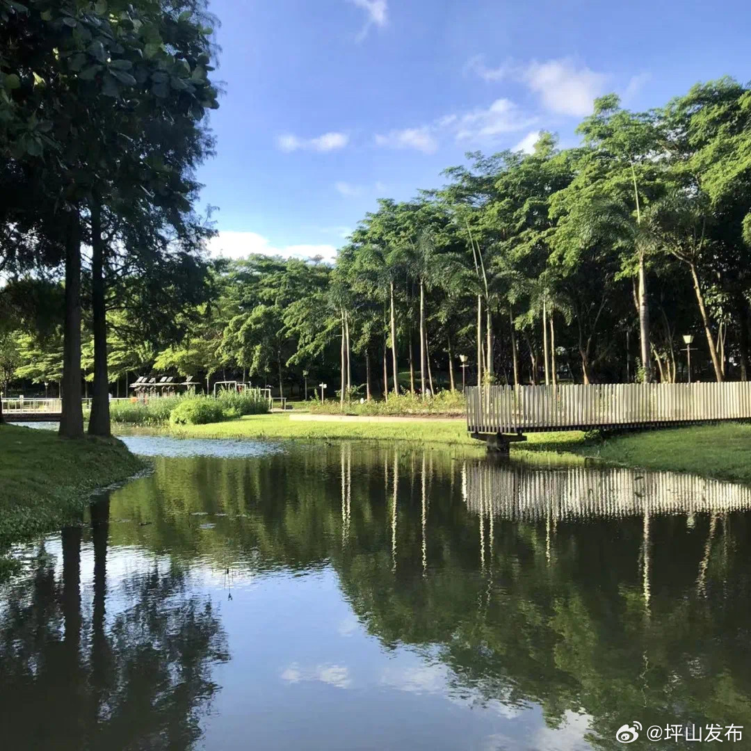坪山最新动态，自然美景探索之旅，寻求内心平和与宁静的旅程